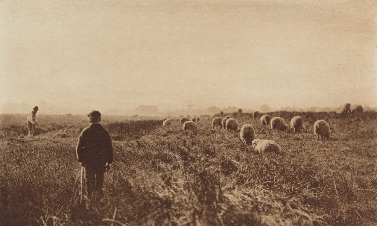 De Moerassen in Juni door Peter Henry Emerson