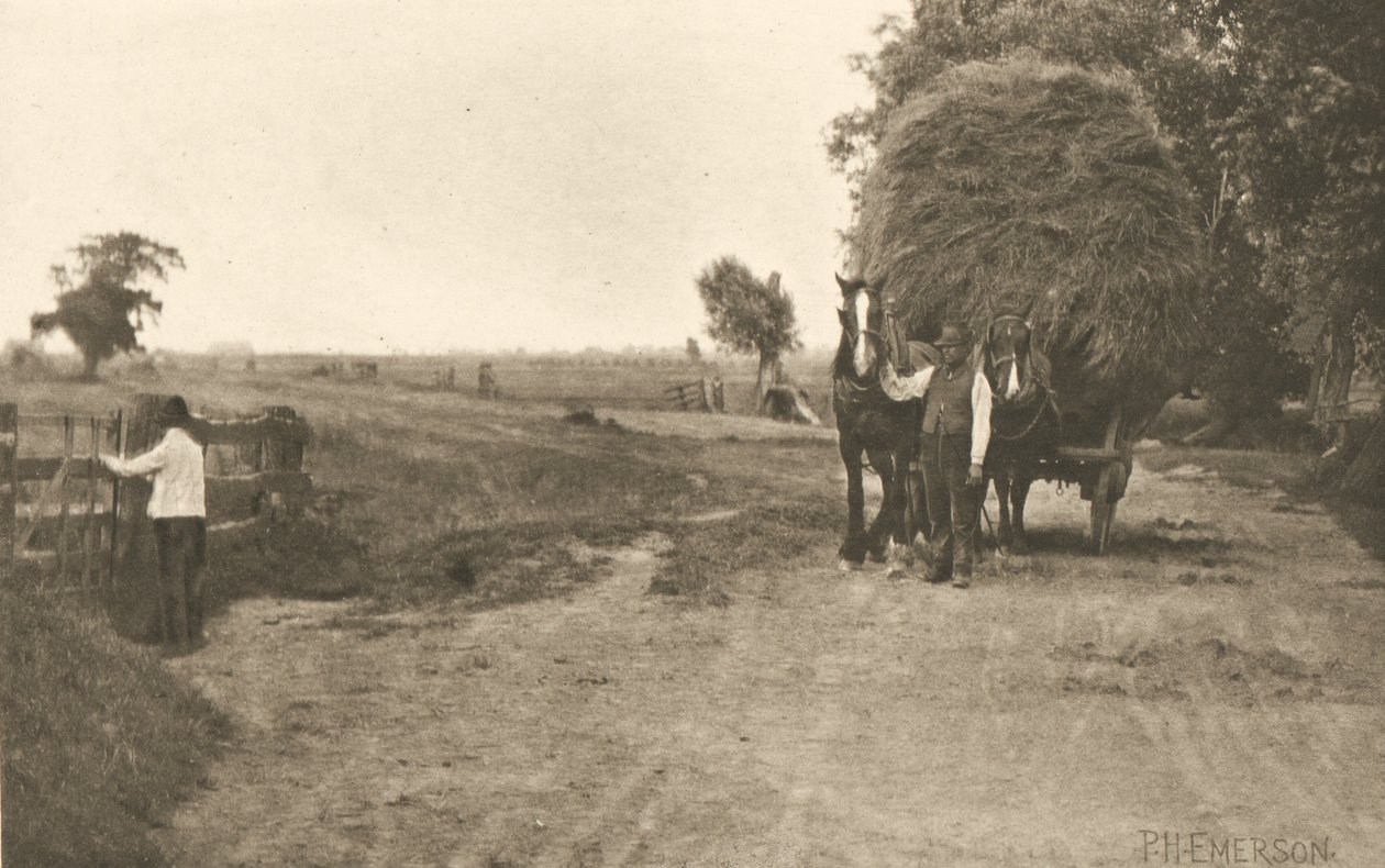 De rijkdom van moerasland door Peter Henry Emerson