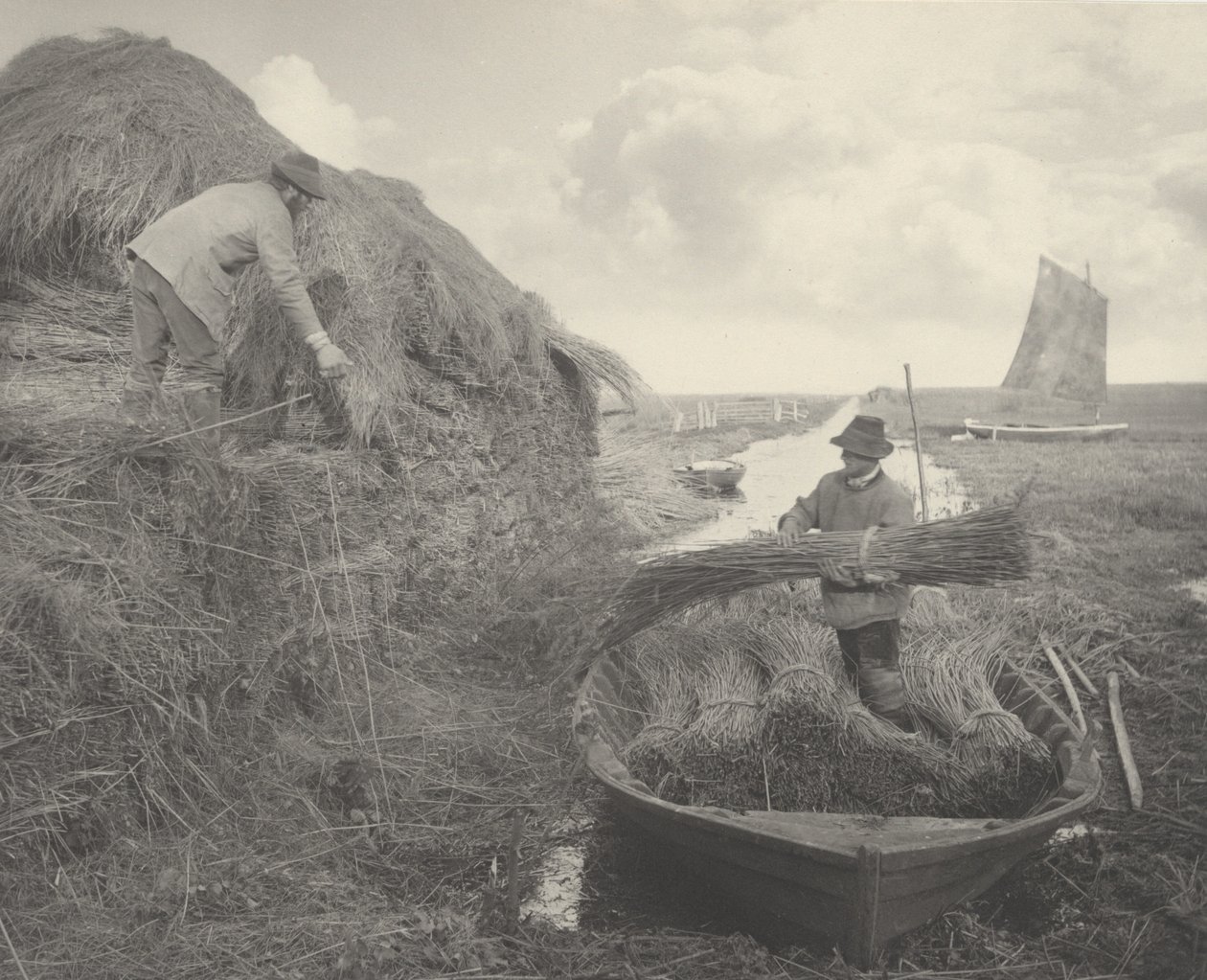 Riet Harken door Peter Henry Emerson and T.F. Goodall