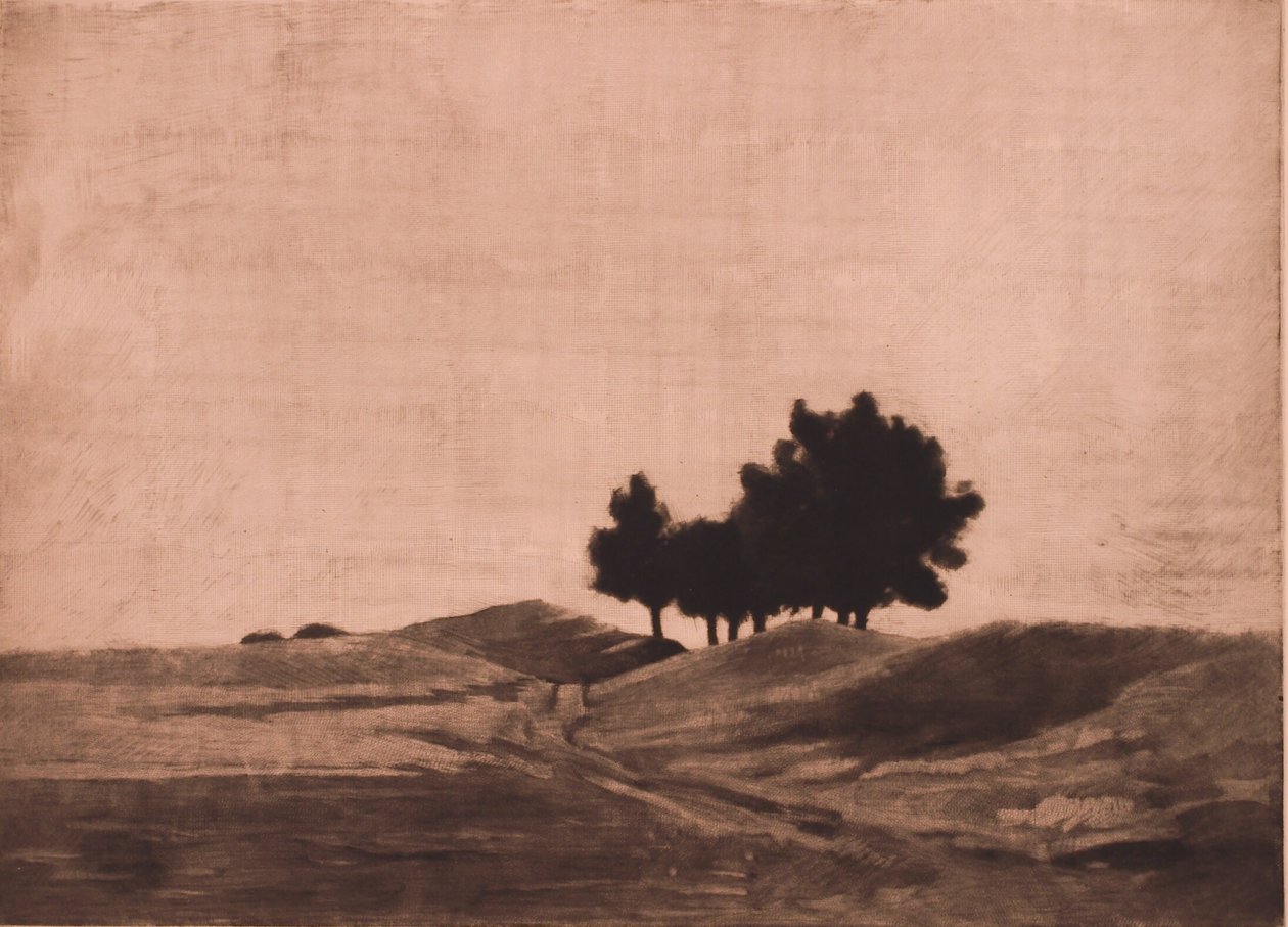 Avondlandschap door Peter Vilhelm Ilsted