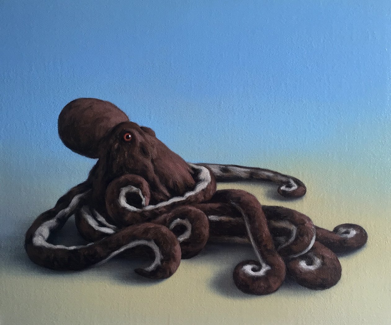 Octopus, 2016 door Peter Jones