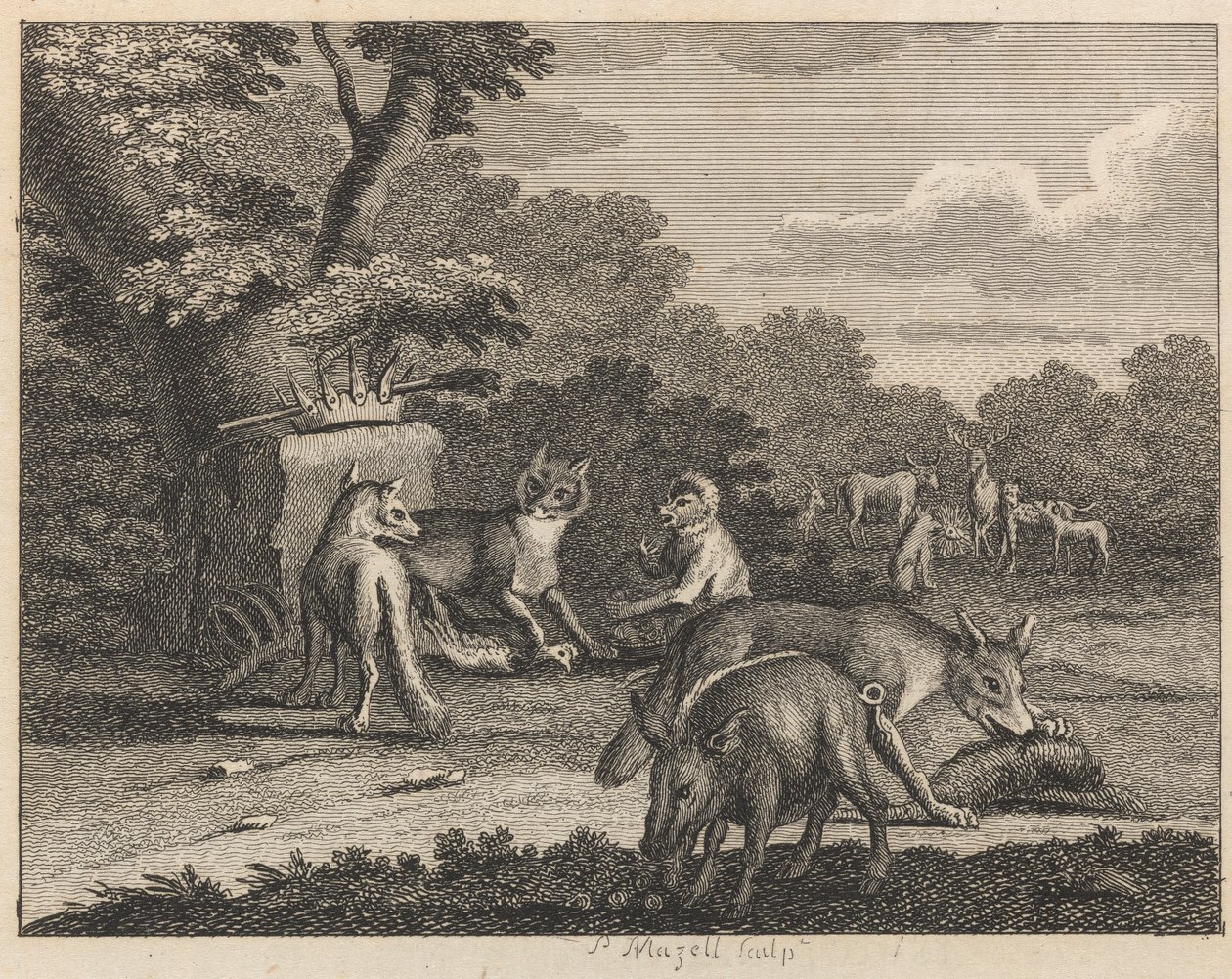 De jakhals, luipaard en andere dieren door Peter Mazell