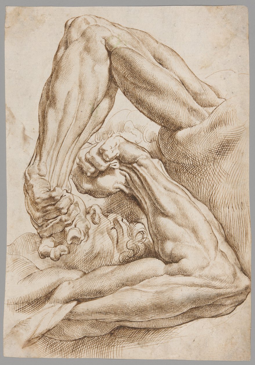Een blad met anatomische studies door Peter Paul Rubens