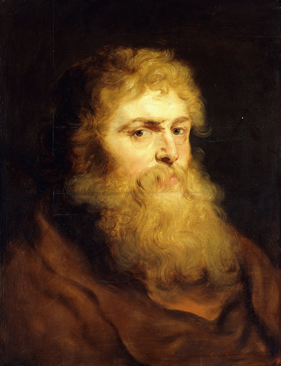Hoofd van een bebaarde man door Peter Paul Rubens