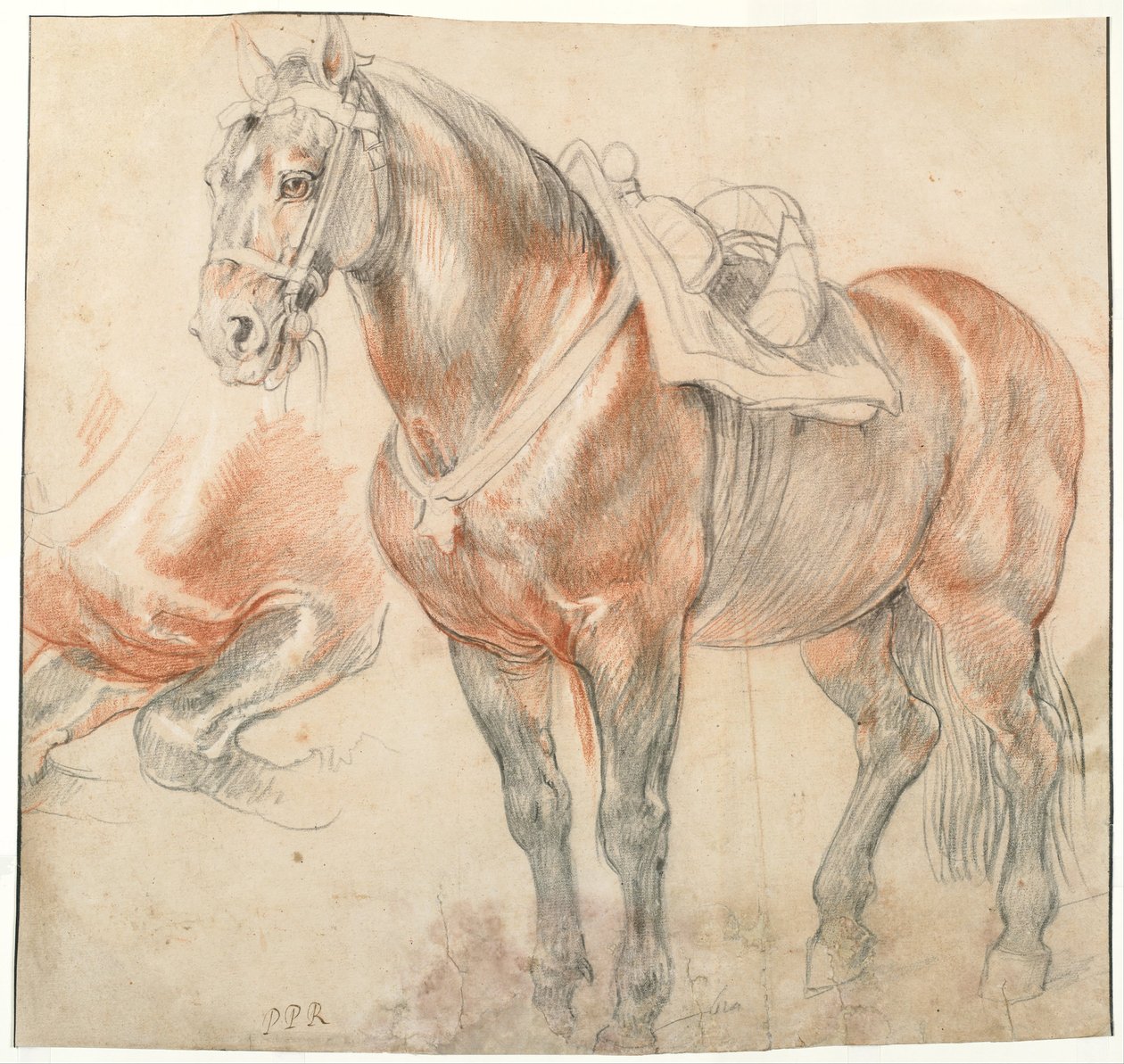 Gezadeld paard, c. 1616-1618 door Peter Paul Rubens
