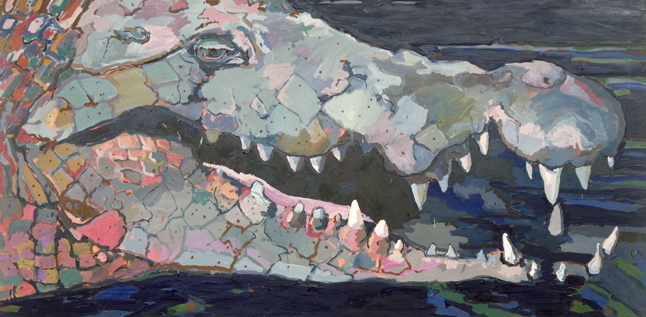 Verder de rivier af - De krokodil door Peter Wilson