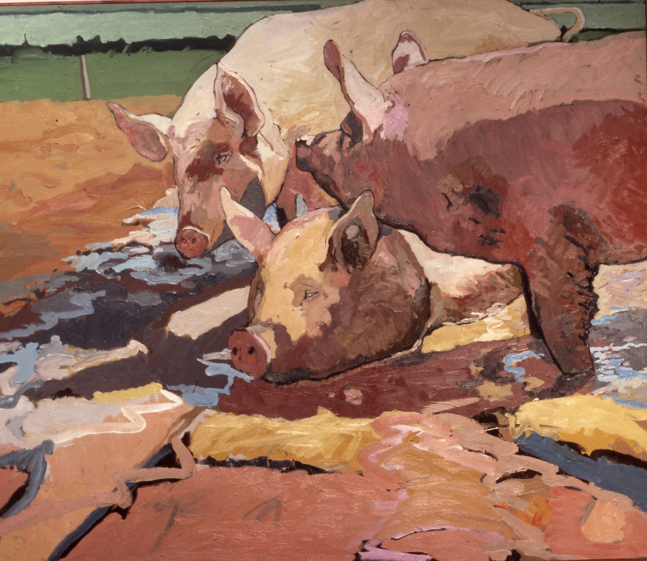 Varkens in zonlicht en modder door Peter Wilson