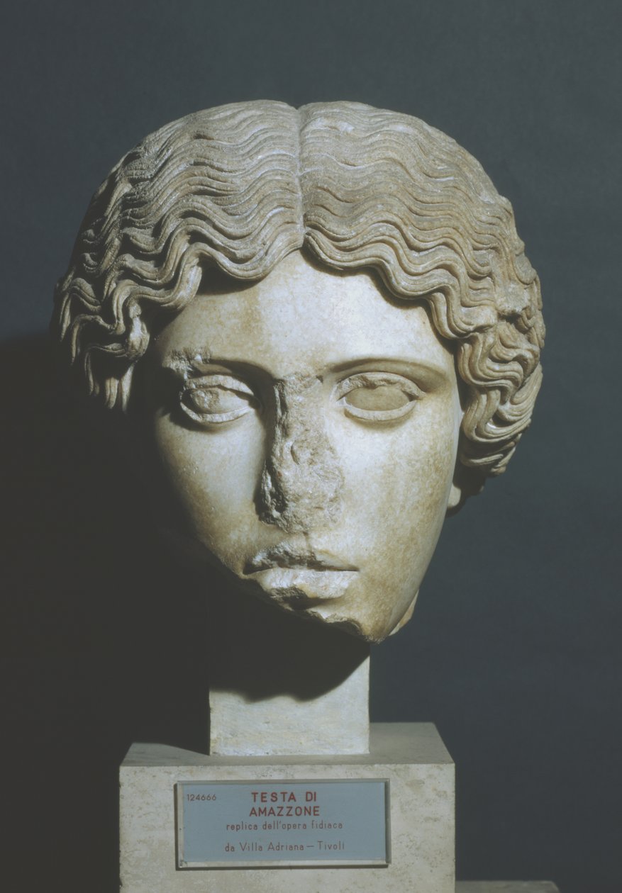 Hoofd van een Amazone door Phidias Phidias