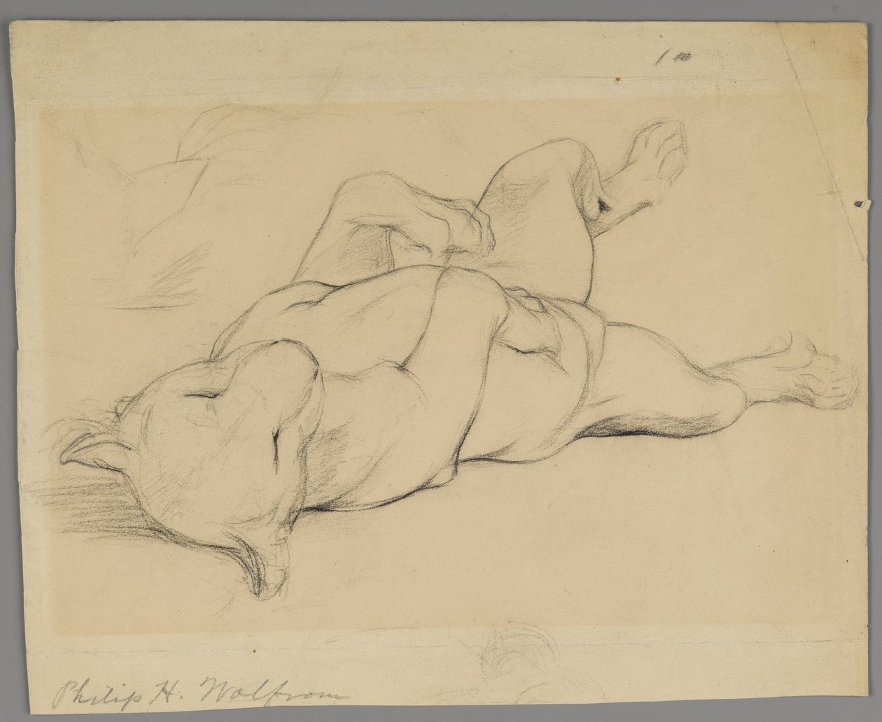 Slapende leeuwin door Philip H. Wolfrom