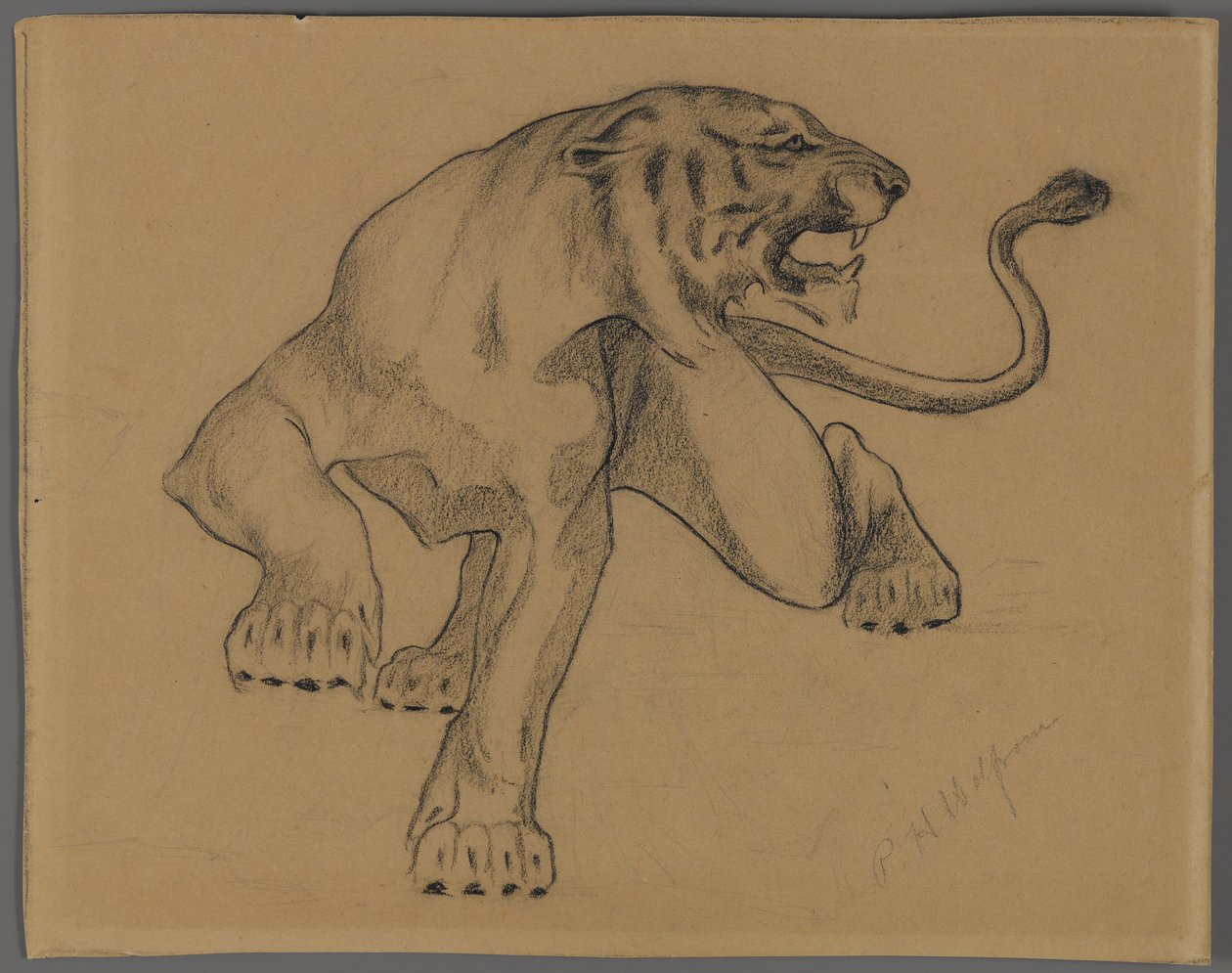 Tijger door Philip H. Wolfrom