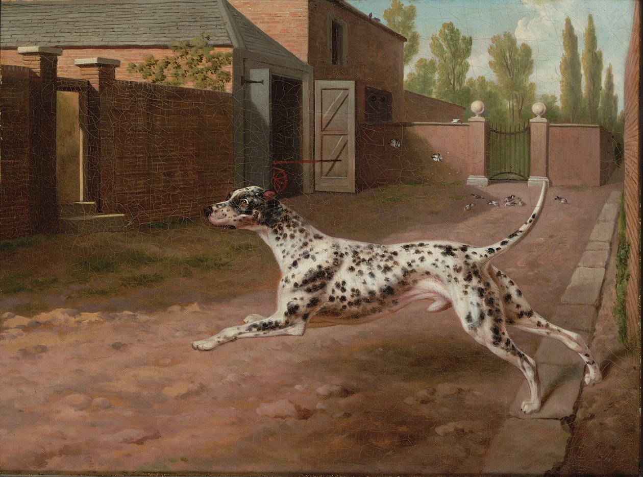Een Dalmatiër rennend in een stal door Philip Reinagle