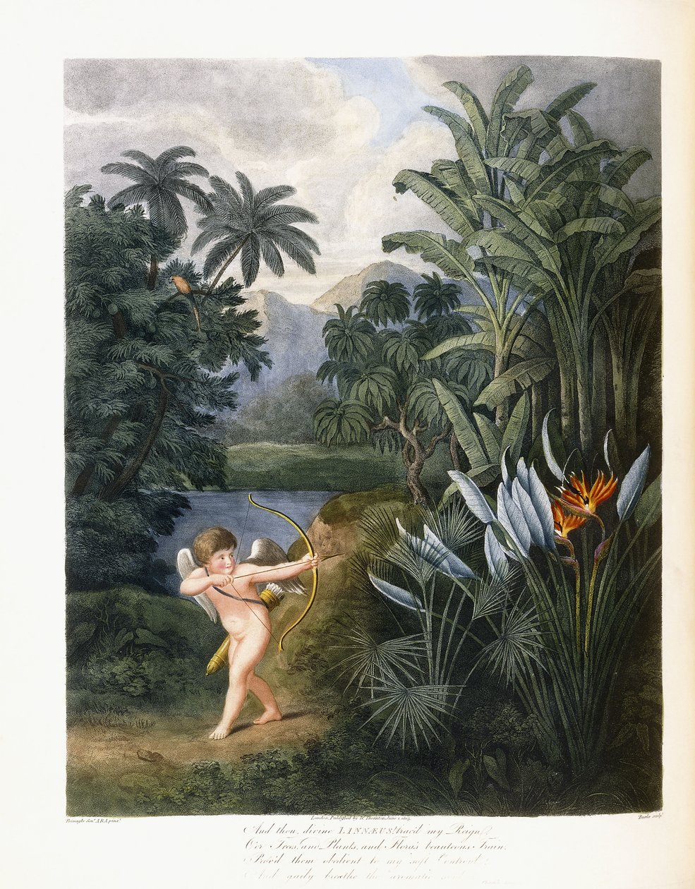 En toen goddelijke Linnaeus, c.1796-1807 door Philip Reinagle