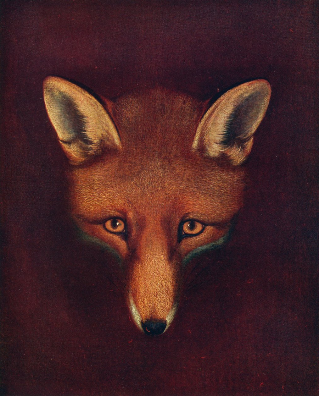 Reinaert de Vos, c1800, 1922 door Philip Reinagle