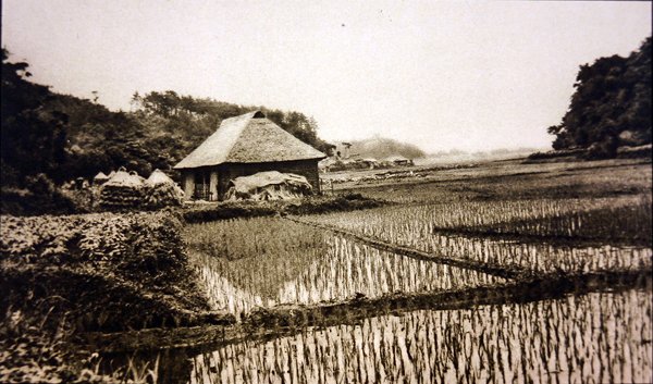 Rijstvelden in Japan door Photographer Japanese