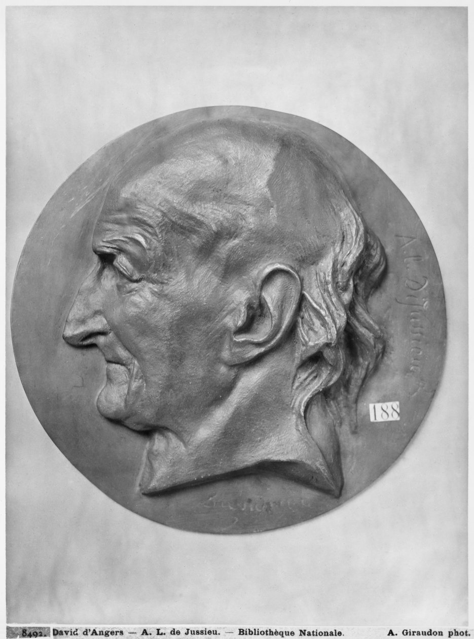 Antoine Laurent de Jussieu door Pierre Jean David d