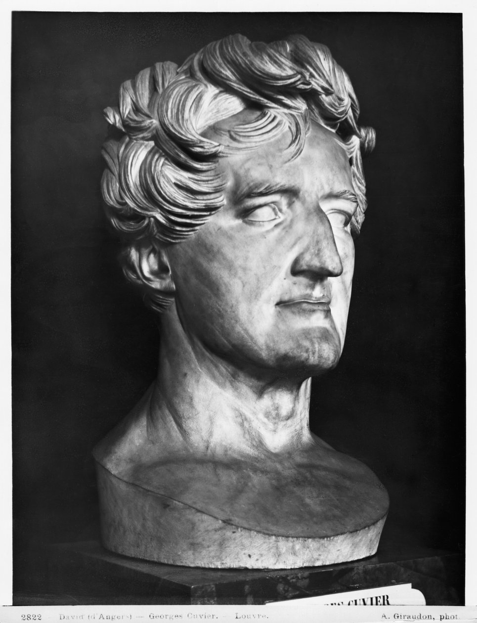 Georges Cuvier, 1833 (marmer) door Pierre Jean David d