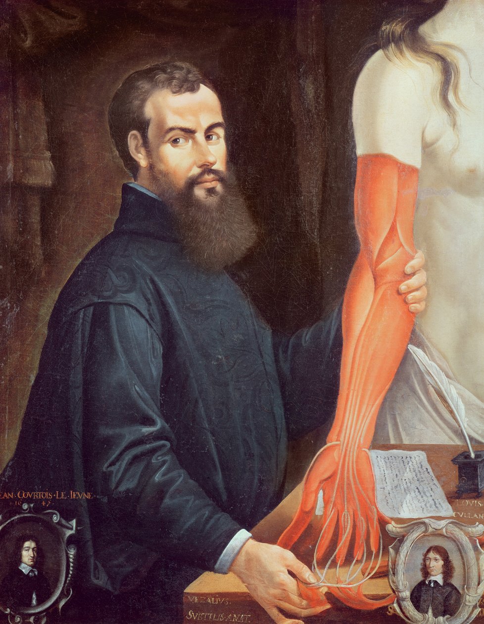 Andreas Vesalius (1514-64) door Pierre Poncet
