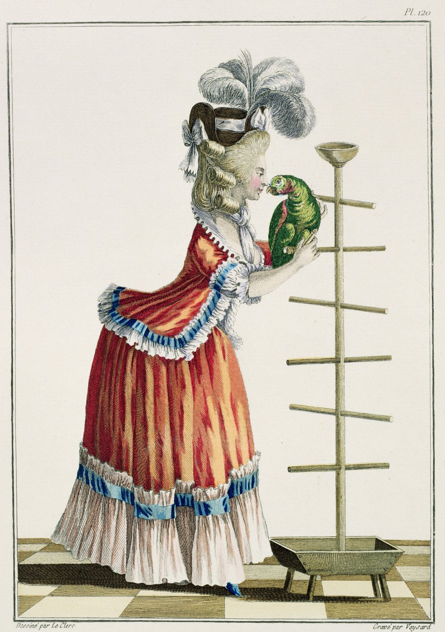 Elegante vrouw in een Caraco 