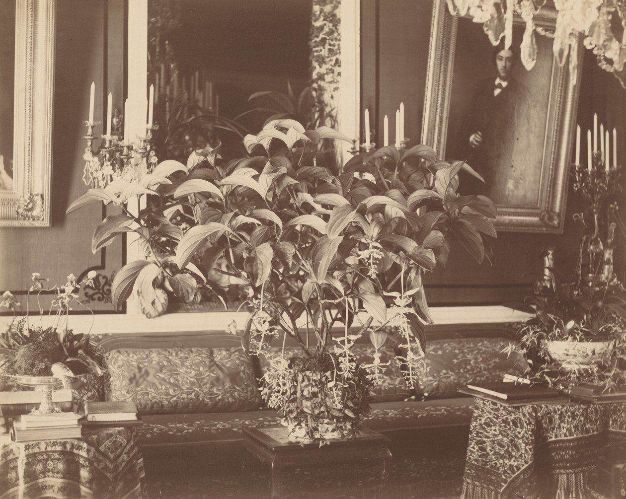 Interieur,jaren 1860 (foto) door Pierre Ambroise Richebourg