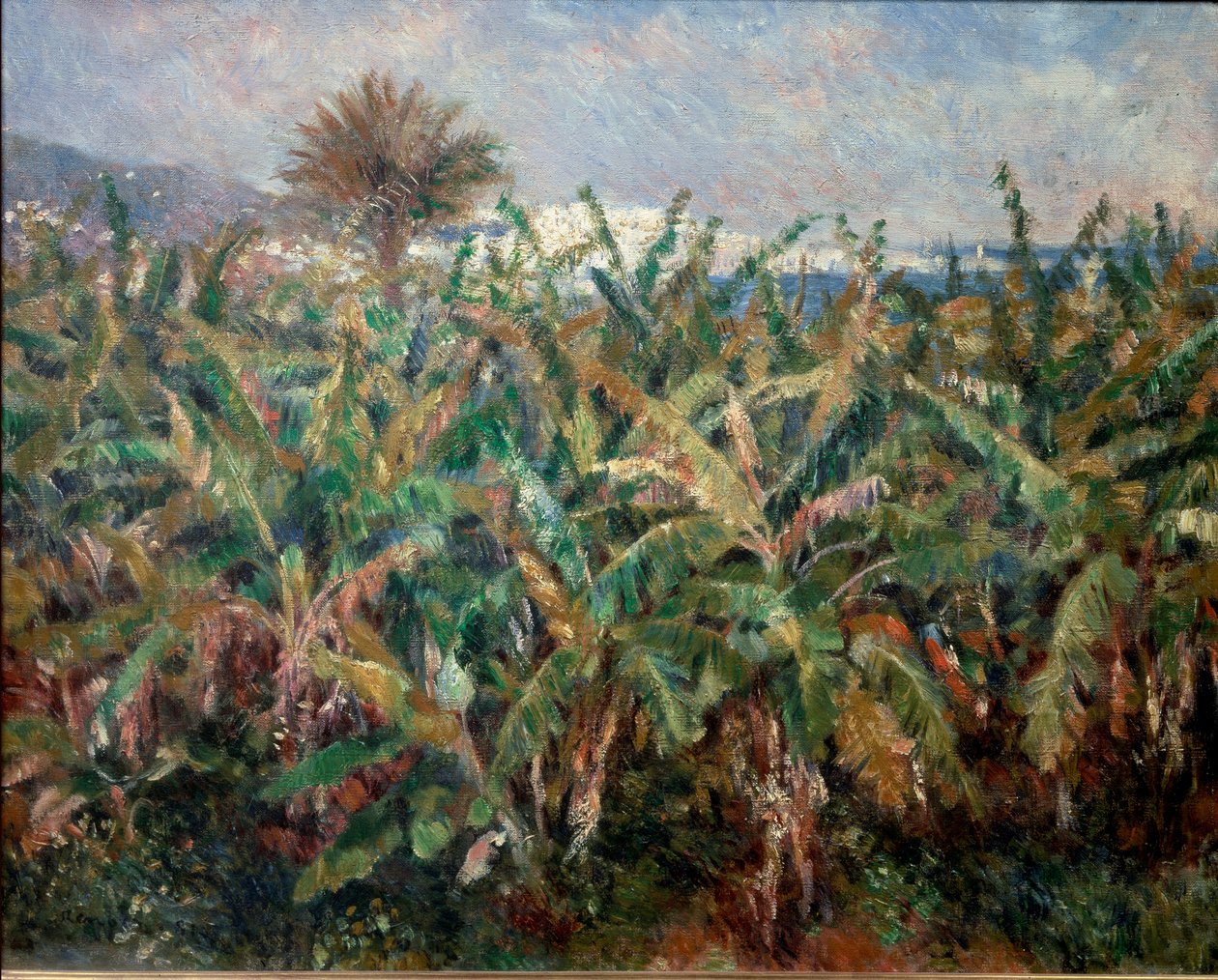 Bananenveld door Pierre Auguste Renoir