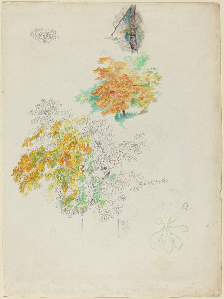 Studies van bomen door Pierre Auguste Renoir