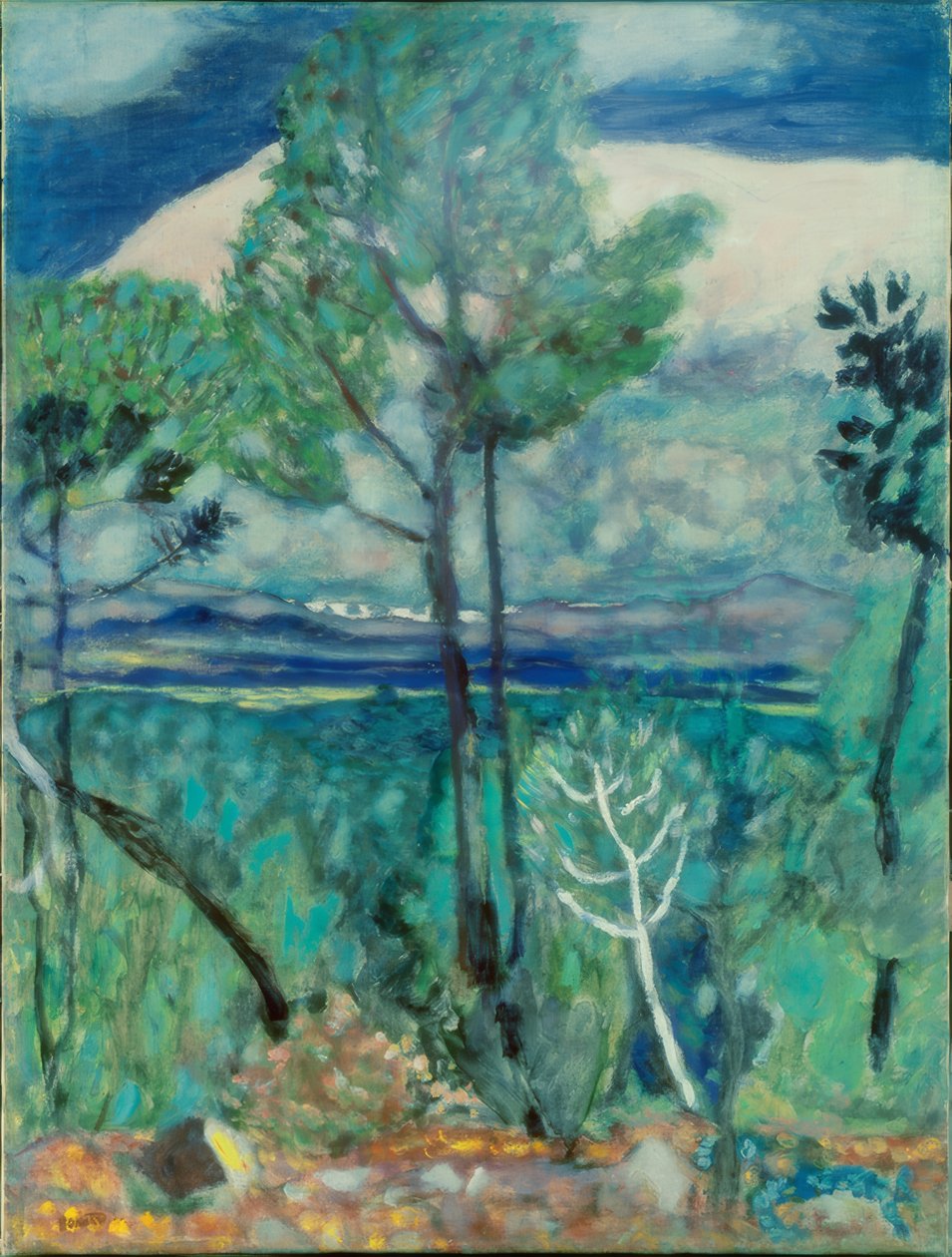 Landschap door Pierre Bonnard