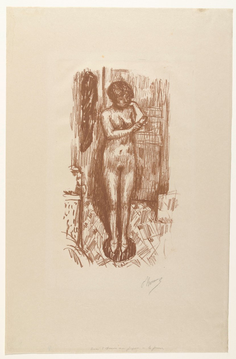 Staande naakte vrouw wast zich door Pierre Bonnard