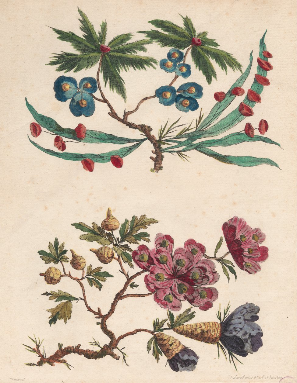 Twee takjes van denkbeeldige bloemen door Pierre Charles Canot