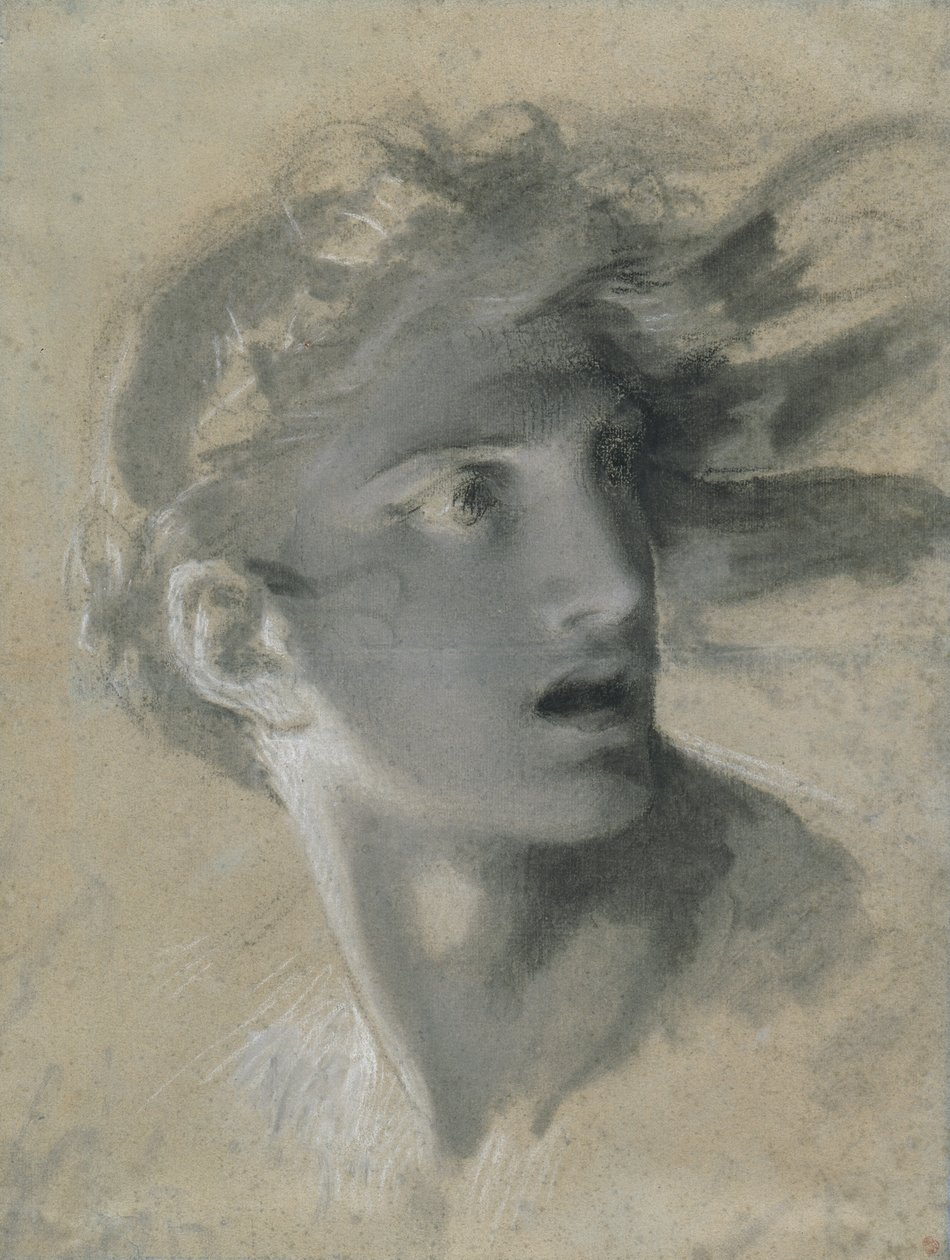 Hoofd van wraak door Pierre Paul Prud