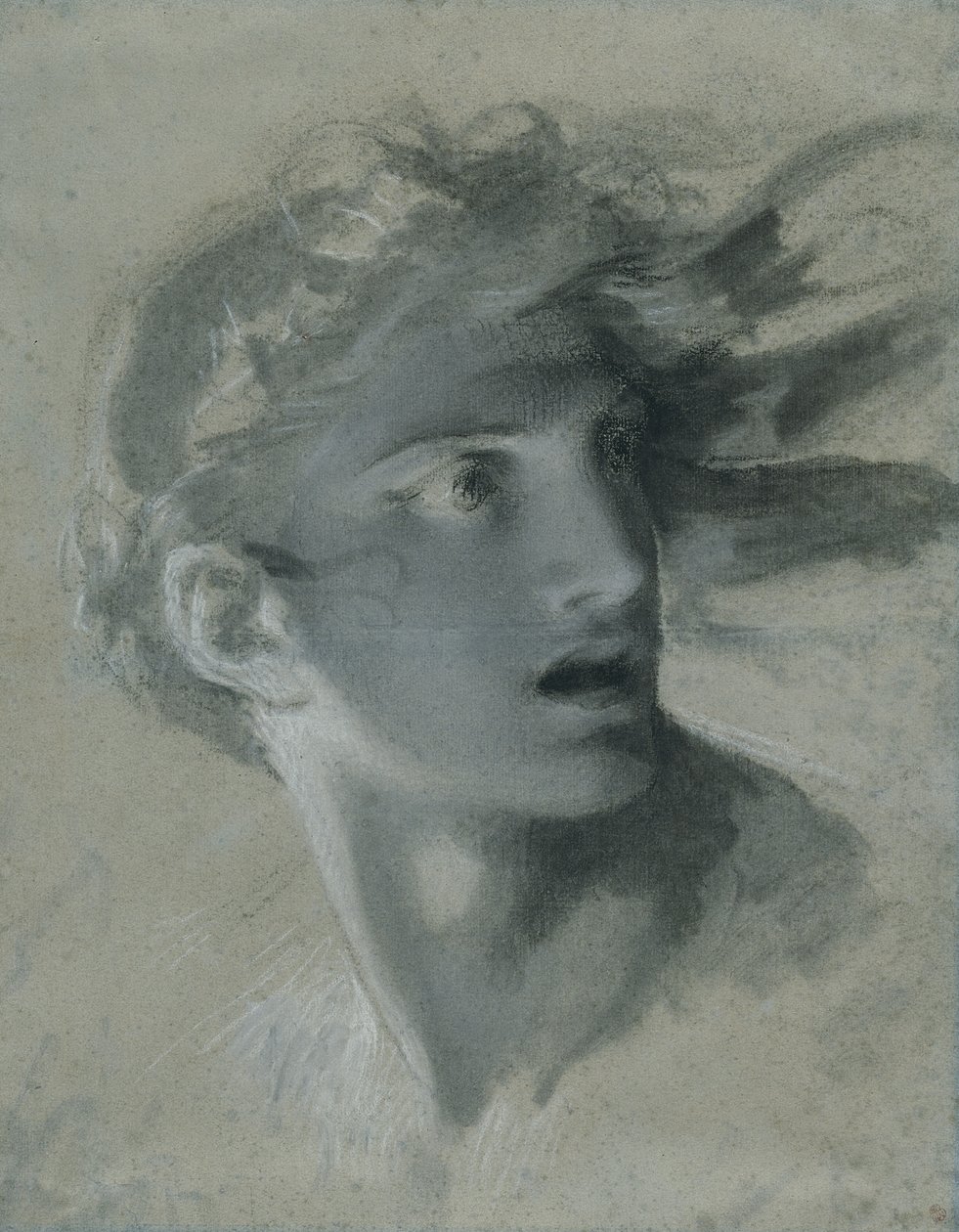 Hoofd van wraak, c.1804 door Pierre Paul Prudhon