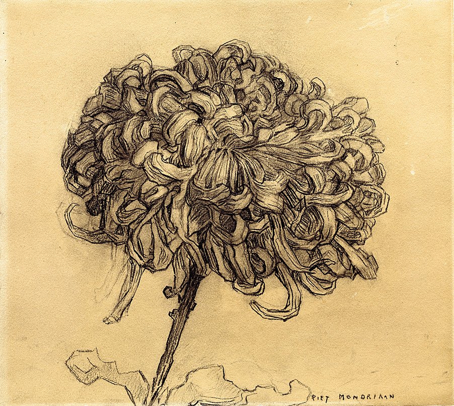 Chrysant door Piet Mondrian