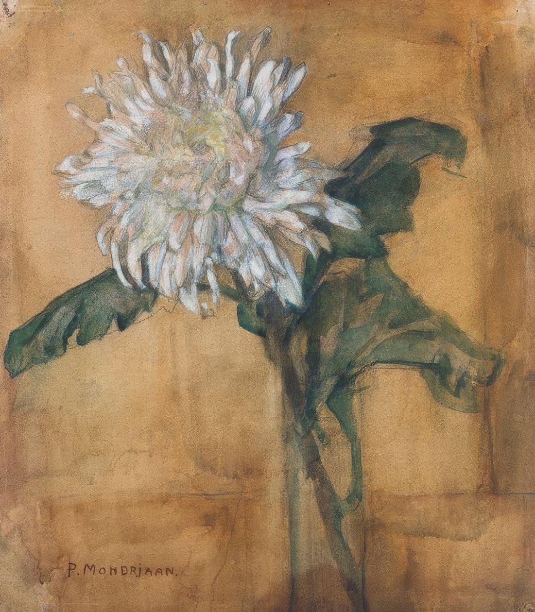 Chrysant door Piet Mondrian