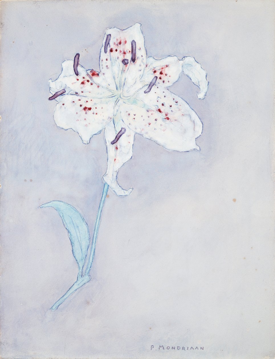 Lelie, ca. 1920-25 door Piet Mondrian