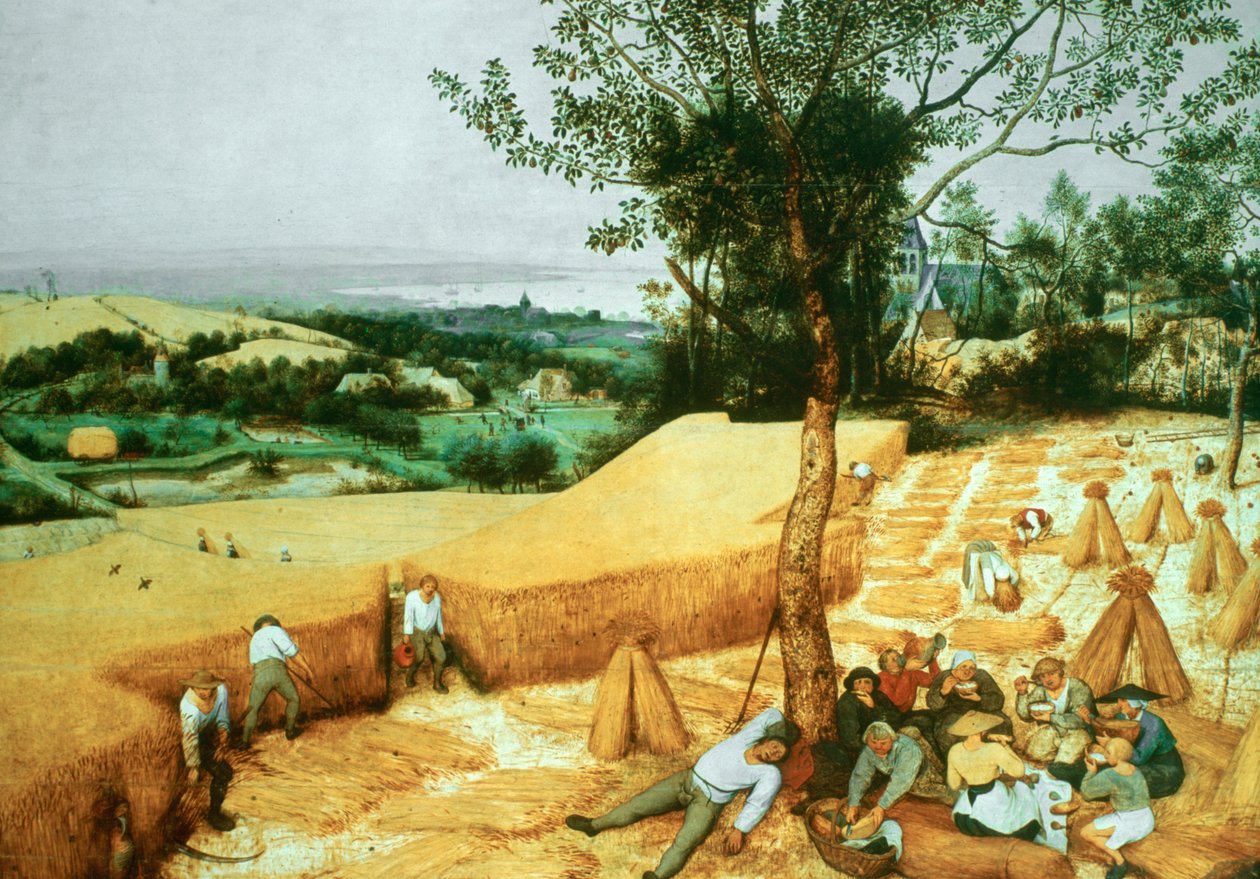 De oogsters, 1565 door Pieter Bruegel the Elder
