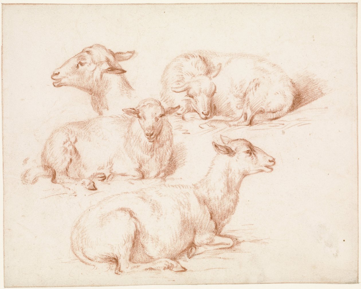 Studieblad met schapen door Pieter Jan Guise