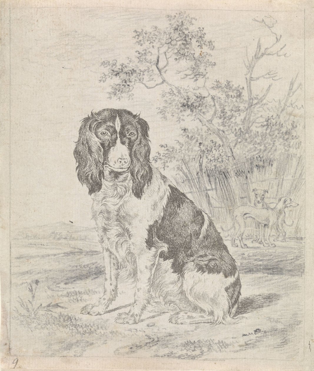 Zittende patrijshond door Pieter Janson