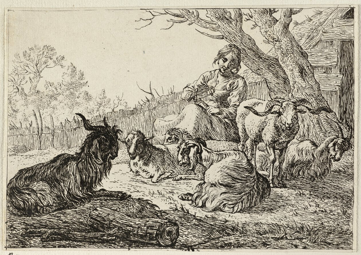 Sheperdess tussen geiten en schapen door Pieter van Laer