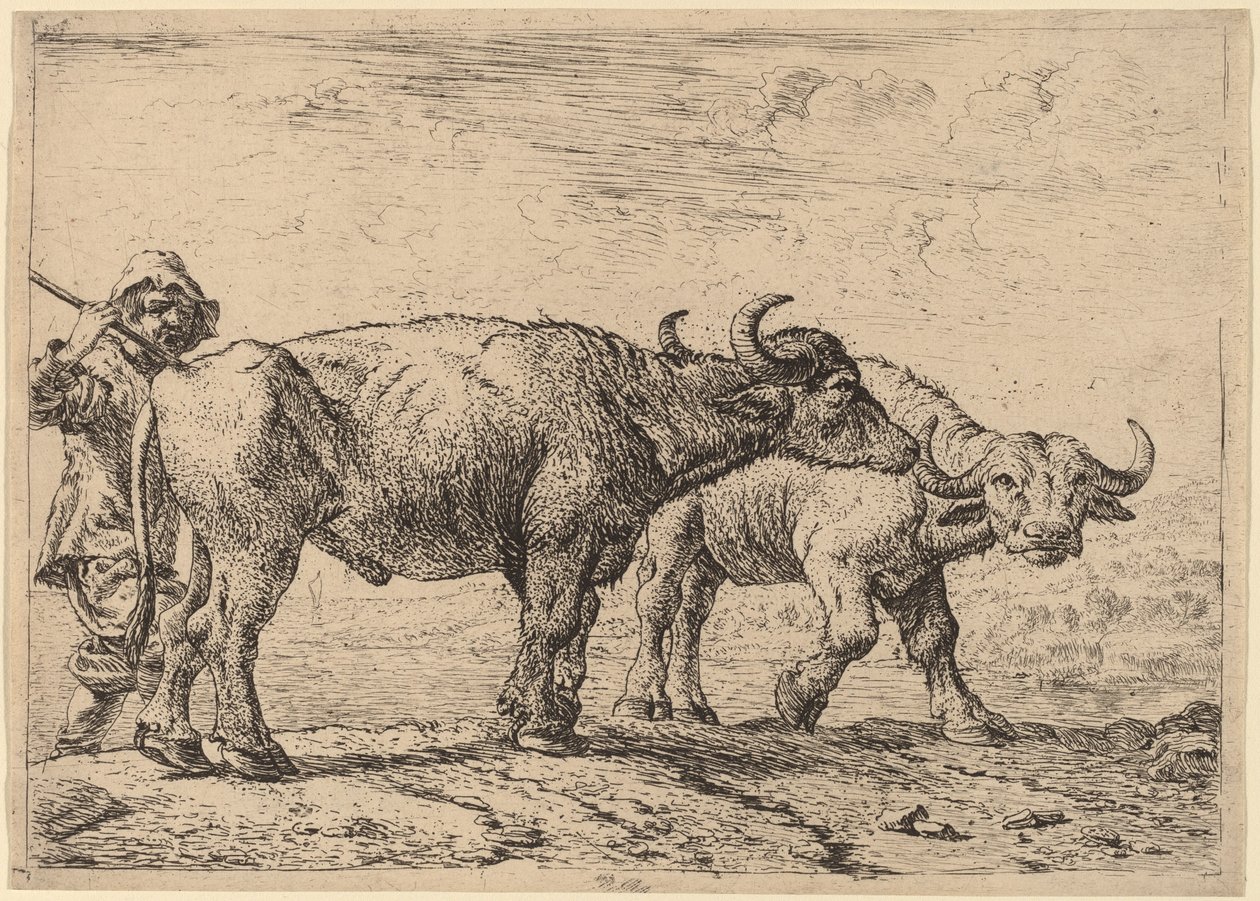 Twee Buffels en een Herder door Pieter van Laer