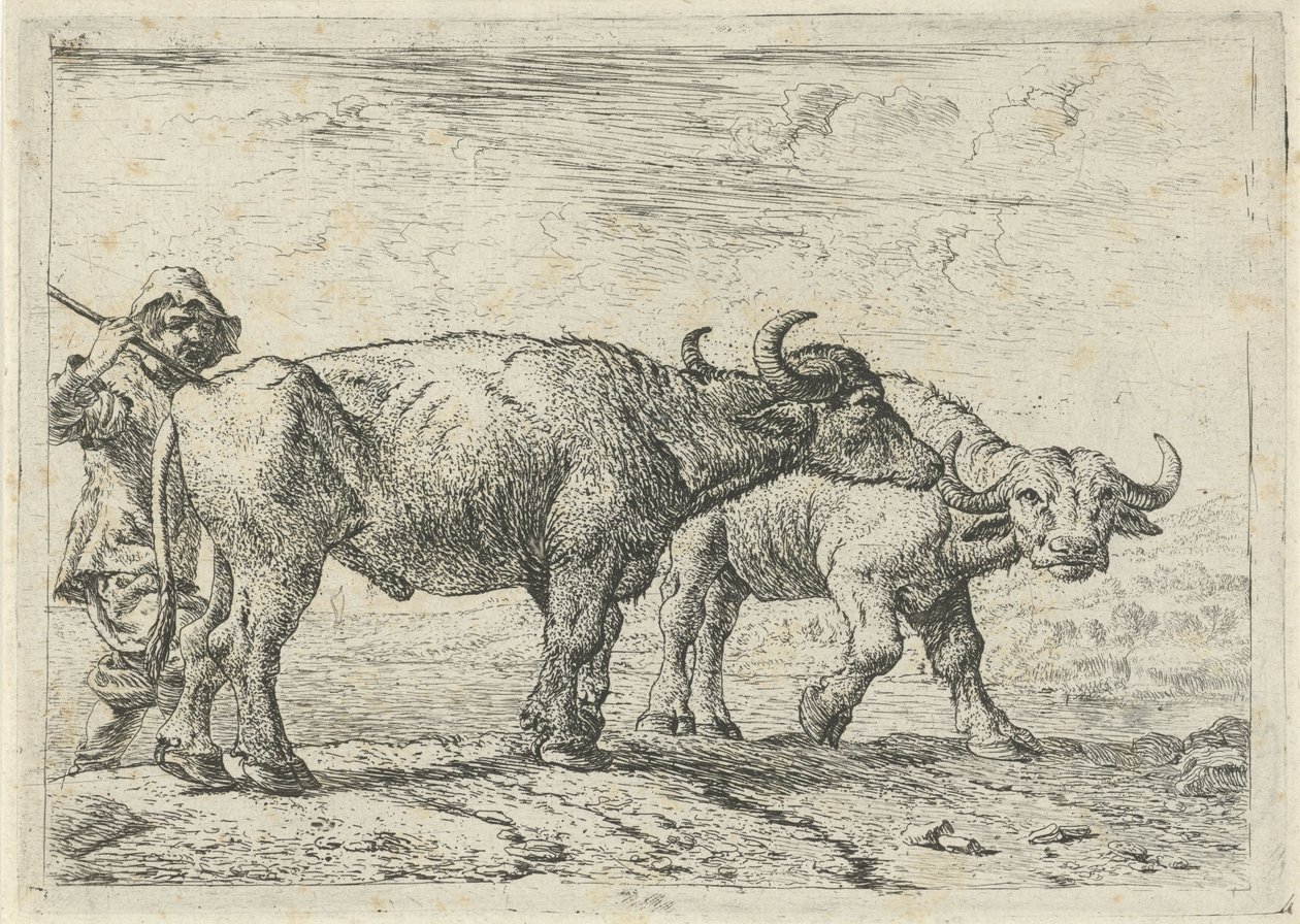Twee buffels en een herder door Pieter van Laer