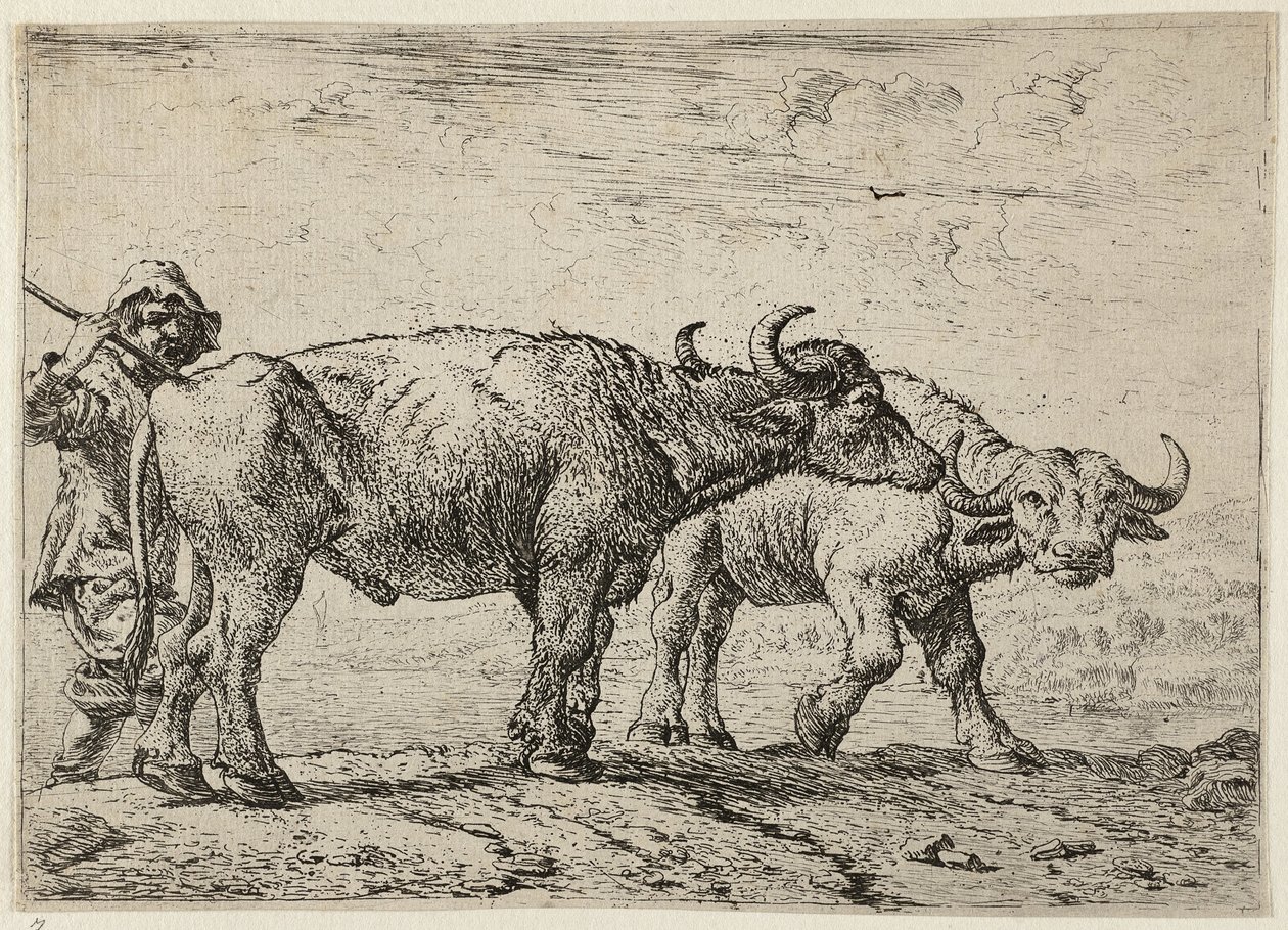 Twee buffels en een herder door Pieter van Laer