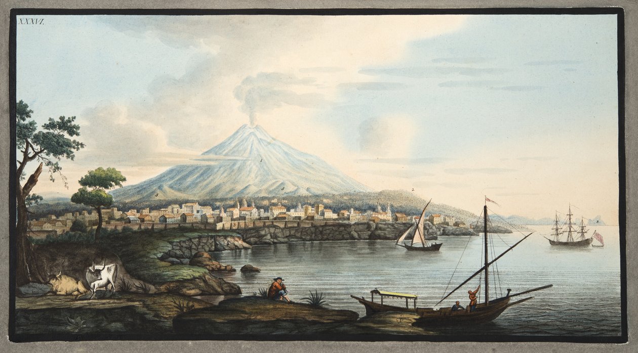 Vesuvius, plaat 36 uit 