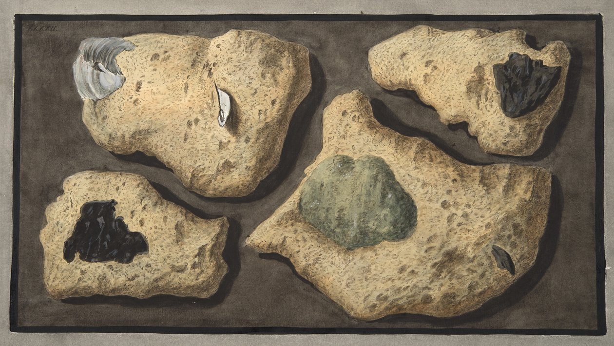 Specimens van Tufas uit de steengroeven bij de Grotta van Pausilipo, Plaat XXXXII, uit 