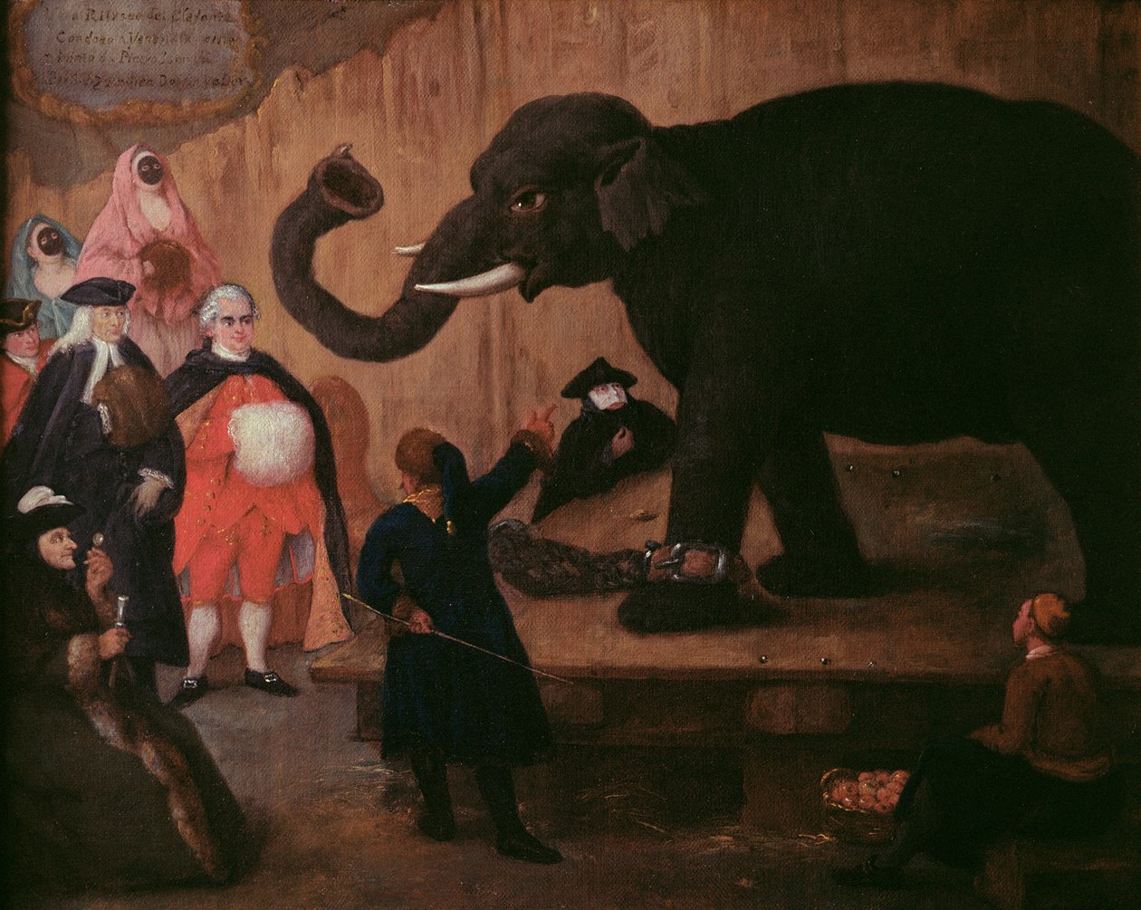 Een olifant getoond in Venetië door Pietro Longhi