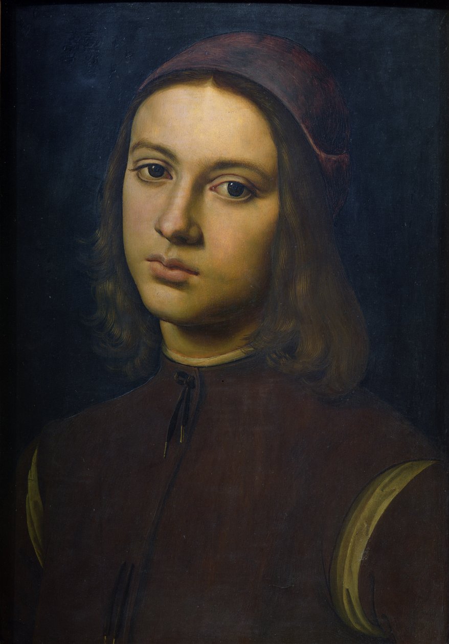 Portret van een jonge man, 1495 door Pietro Perugino