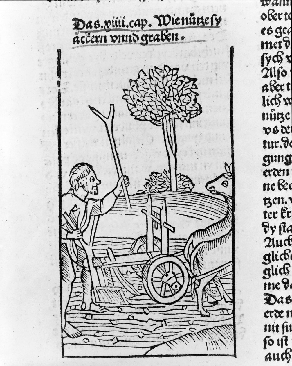 Houtsnede die een boer toont die een veld ploegt door Pietro de