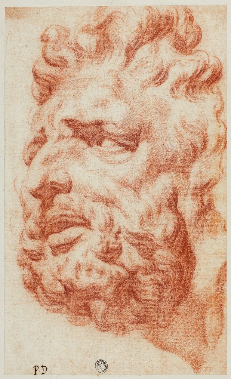 Hoofd van Laocoon door Pietro Dandini