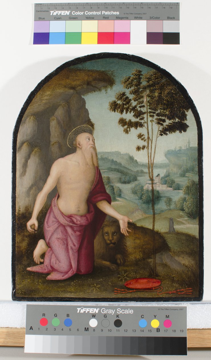 Sint Hiëronymus in de Wildernis door Pietro Perugino