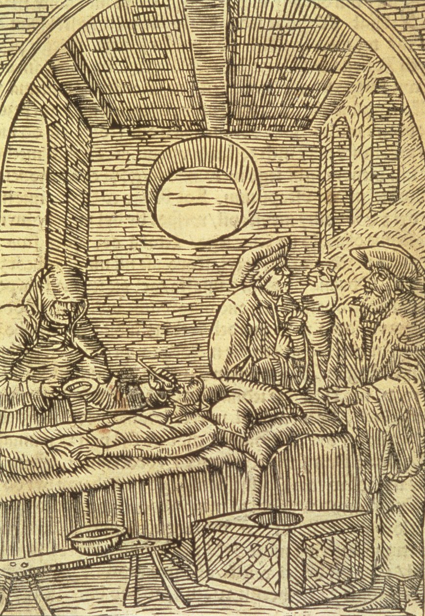 Toedienen van medicinale kruiden, 1534 door Polish School