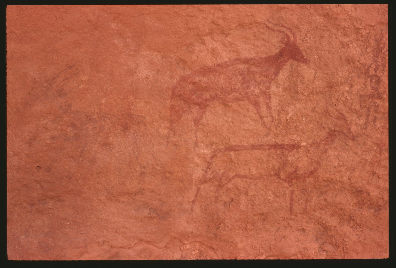 Koeien (rots schildering) door Prehistoric
