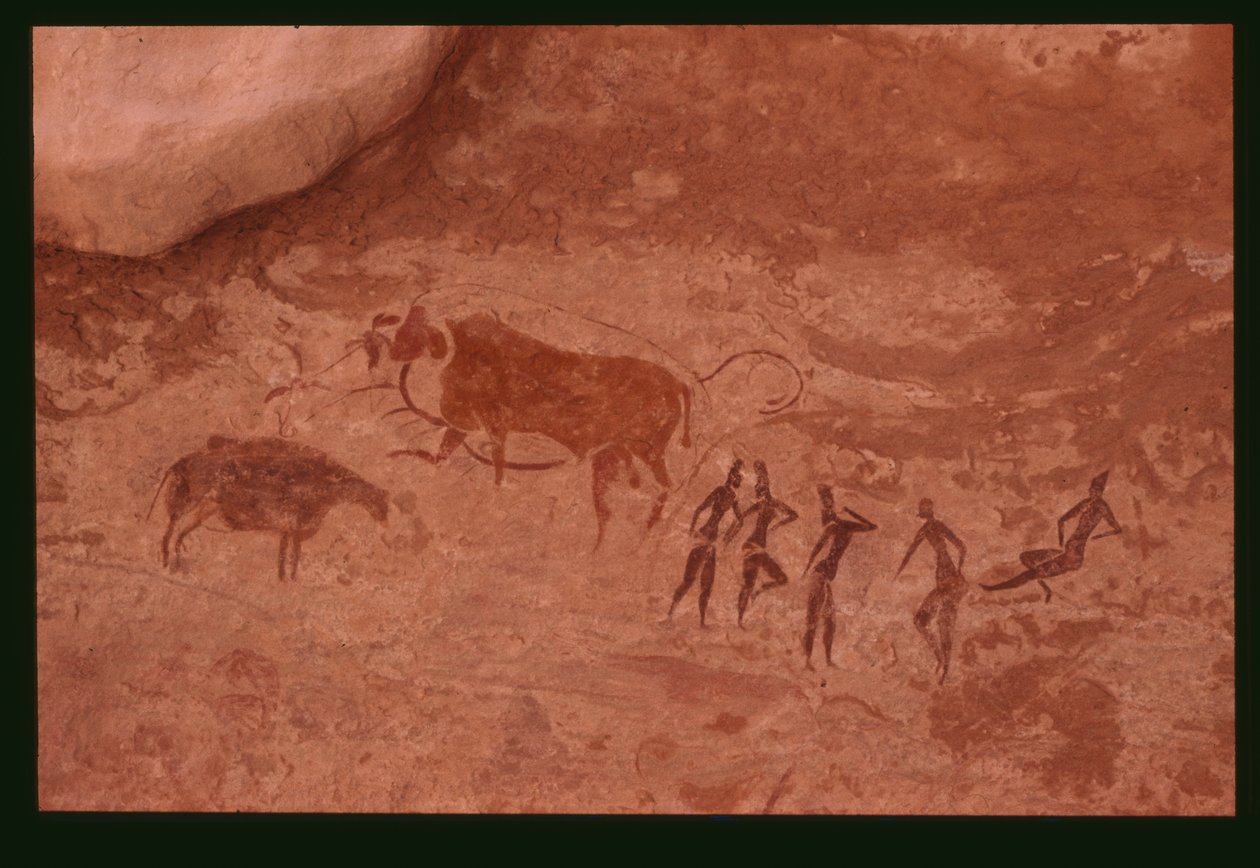Koeien en menselijke figuren (rots schildering) door Prehistoric